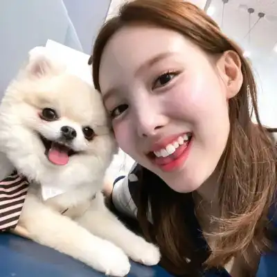 董晓晓